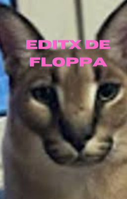 editx de floppa