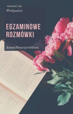 egzaminowe rozmówki