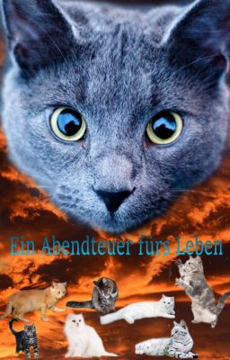 Ein Abendteuer fürs Leben (Warrior Cats FF)