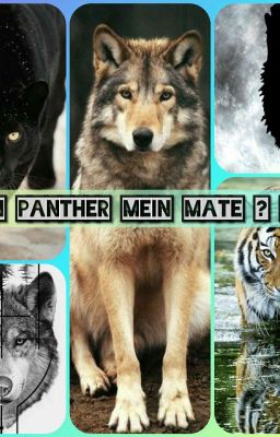 Ein Panther mein Mate?!