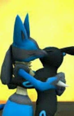 El amor de dos especies diferentes (Lucario x umbreon shiny)