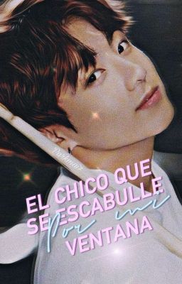 EL CHICO QUE SE ESCABULLE POR MI VENTANA -Kookmin-