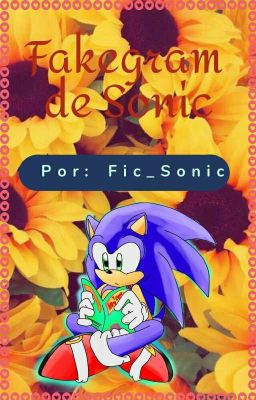 El fakegram de Sonic 