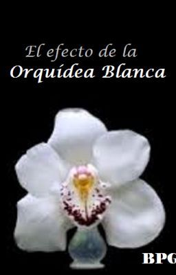 El Fecto De La Orquídea Blanca