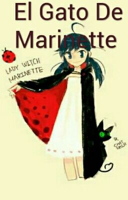 El Gato De Marinette 