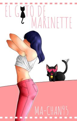 El gato de Marinette