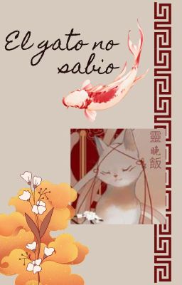 El gato no sabio ⸻ ❪ 𝚋𝚕𝚘𝚐 ❫