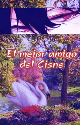 🦢El mejor amigo del Cisne🦢