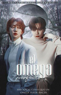 El omega perfecto [Seventeen]