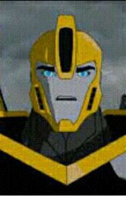 El Otro Lado De Bumblebee