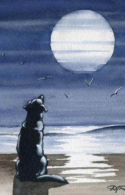 EL PERRO QUE LE SONREÍA A LA LUNA