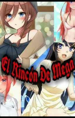 El Rincón de Mega