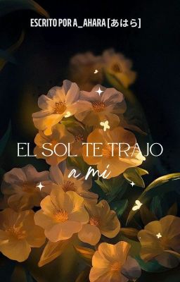 El sol te trajo a mi