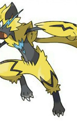 el zeraora ash