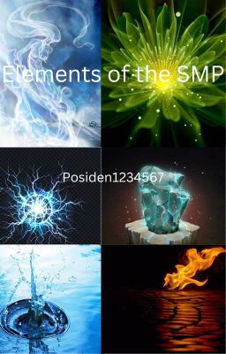 Elements of the SMP