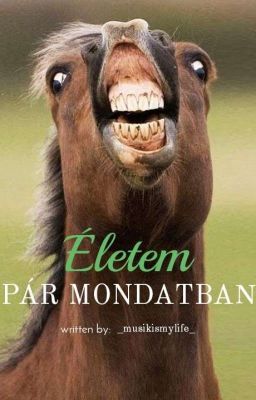 Életem pár mondatban