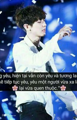 Em chỉ là một Fangirl👑