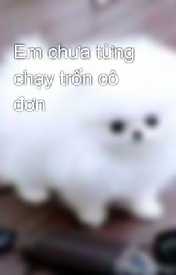 Em chưa từng chạy trốn cô đơn 