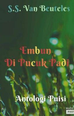 Embun Di Pucuk Padi