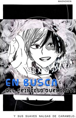 En busca del princeso durmiente