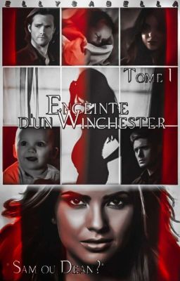 Enceinte D'un Winchester Tome 1 [Terminé] ( CORRIGE)