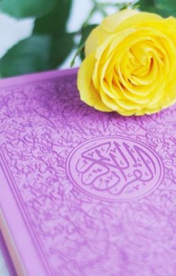 English Translation Of ''THE HOLY QUR'AN''