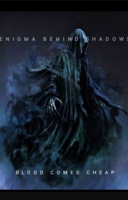 Enigma In Shadows -A Wizarding World Fanfiction (Also Time Travel) (Stasis)