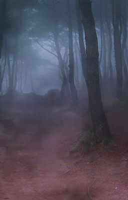 Entre la niebla