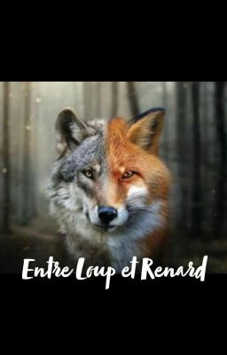 Entre Loup et Renard