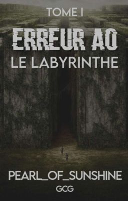 Erreur A0 : Le Labyrinthe (Tome 1) *Corrigé*