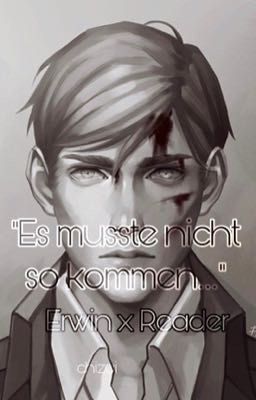 Erwin x Reader /„Es musste nicht so kommen...