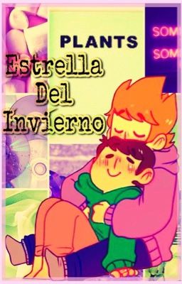 ~{Estrella del Invierno }~