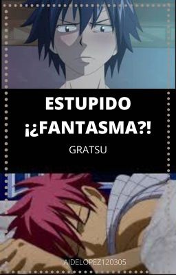 ESTUPIDO ¡¿FANTASMA?! (GRATSU)