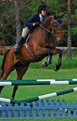 Eventer