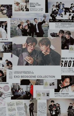 EXO BS COLLECTION [EXO OTP]