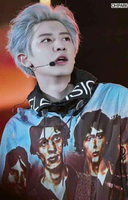 [EXO] Chuyên Mục Nỗi Lòng FanGirl