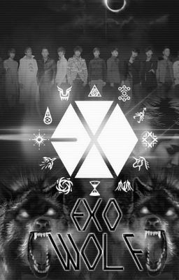 [EXO COUPLE FANFIC] GIA TỘC SÓI ĐẠI CHIẾN