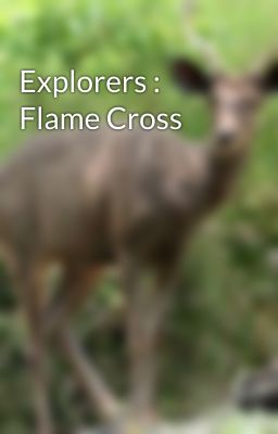 Explorers : Flame Cross