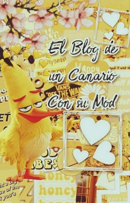 ░▒▓ 💛🌈 Eʟ Bʟσɢ Dᴇ Uɴ Cᴀɴᴀʀɪσ Cσɴ Sᴜ Mσᴅ 🌈💛 ▓▒░