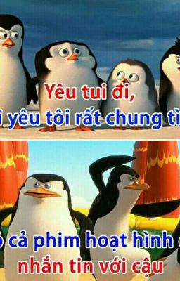 FA kí sự