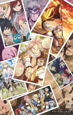  Fairy Tail ( Next )