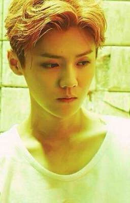 Fakegram De Luhan