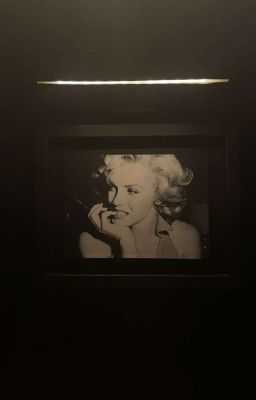 fakenut ☆ love's mean