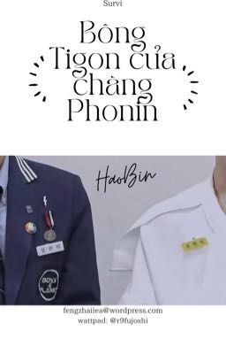 (FANFIC - BINHAO) BÔNG TIGON CỦA CHÀNG PHONIN