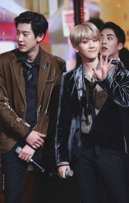 (Fanfic ChanBaek) Hành Trình Cua Phác Học Trưởng Của Biện Bạch Hiền