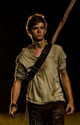 Fanfic Newt