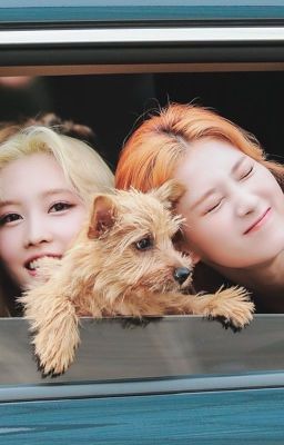 [FANFIC] [TWICE/MOSA] STORIES