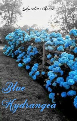 [Fanfiction] [ChaeLisa - JenLisa] Blue Hydrangea