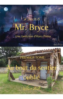 Fanfiction d'Harry Potter: Mr. Bryce - T1