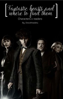 Fantastic Beast And Where To Find Them Characters x reader (requests Closed)